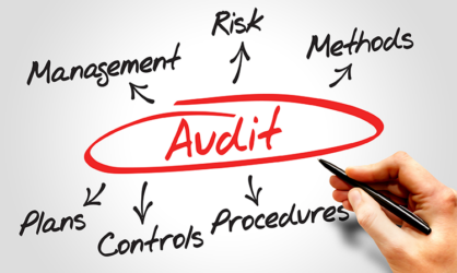 The word Audit written and red and circled with arrows pointing out from it to the words Management, Risk, Methods, Plans, Controls, and Procedure (written in black)